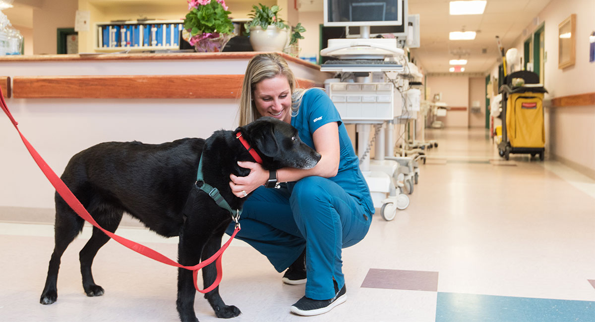 pet-therapy-provides-key-benefits-to-home-health-care-patients