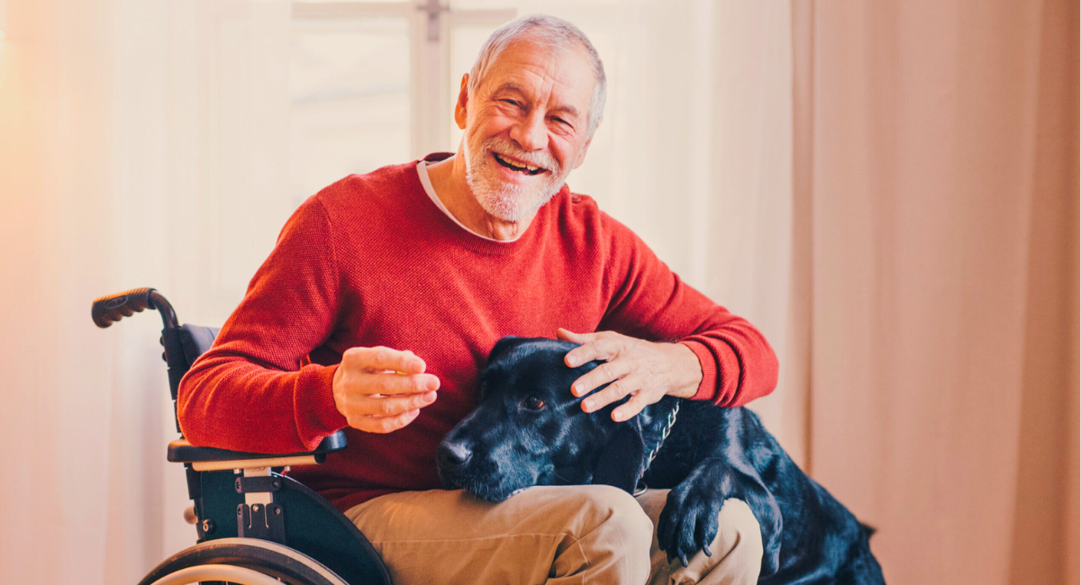 person in a wheelchair with a red sweater and his black dog