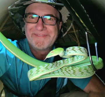 Dr Harrington with a green snake