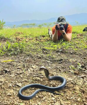 Dr Harrington photographs a snake