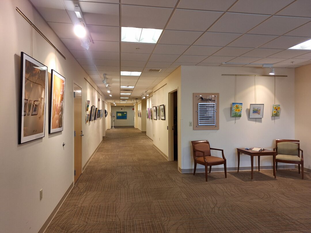 Gallery with new pieces hung