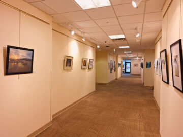 Exhibition in the gallery