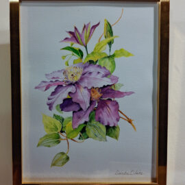 Dierdre Oliver “Clematis” watercolor 13x10 $125