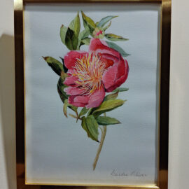Dierdre Oliver “Peony” watercolor 13x10 $125