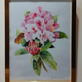 Dierdre Oliver “Rhododendron” watercolor 13x10 $125