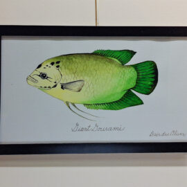 Dierdre Oliver “Giant Gourami” watercolor 9x15 $125