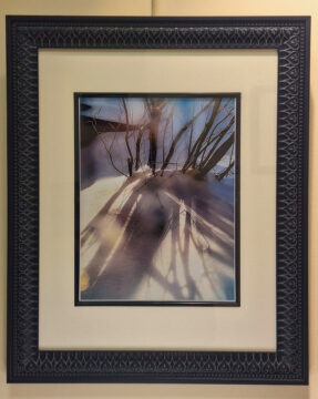 A stylized photo of bare trees casting shadows on snow