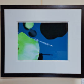 Jan Reiss “Damselfly Abstract” photograph 26.5x22.5 $400