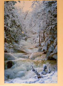 Photo of a snowy scene with a river and waterfalls frozen and snowy trees