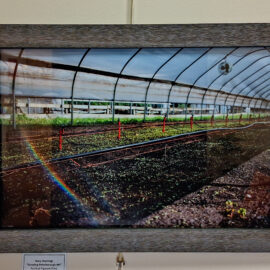 Stacy Hannings "Growing-Peterborough NH" archival pigment print