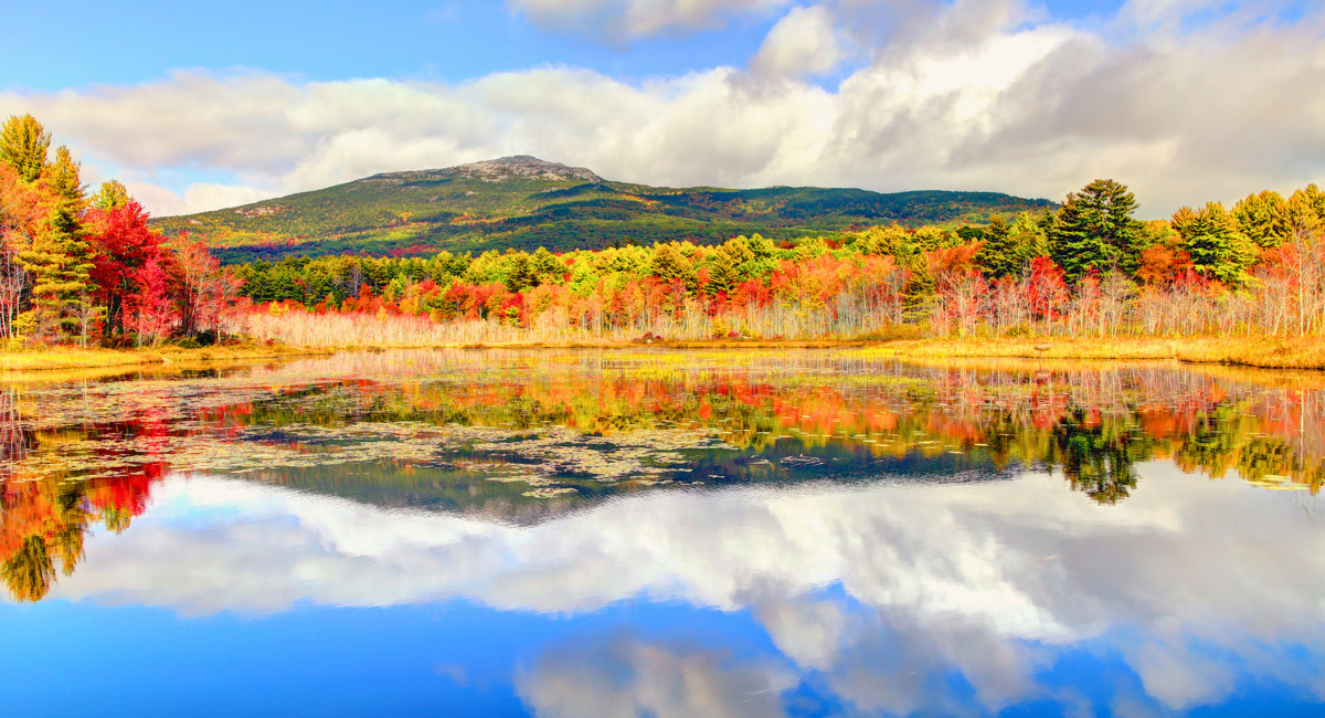 Enhancing Community Health: The Greater Monadnock Public Health Network ...