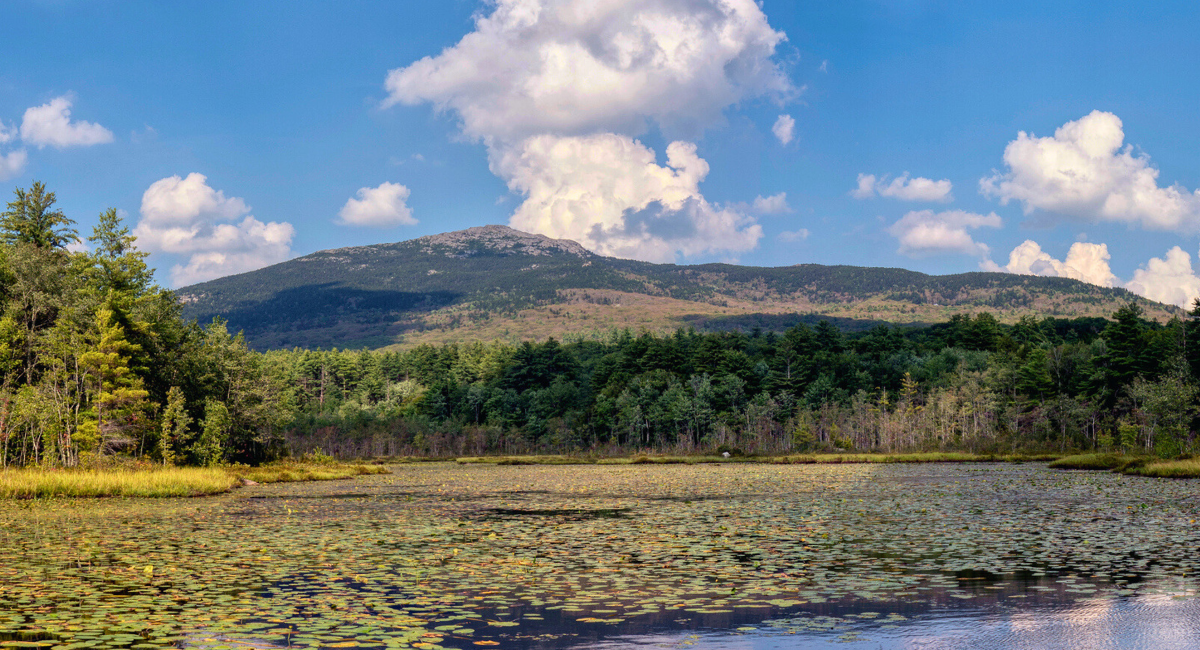 A scenic view of Mount Monadnock in New Hampshire. The image shows the mountain in the background with a clear blue sky and some fluffy white clouds. In the foreground, there is a serene pond covered with lily pads and surrounded by lush green trees. The overall atmosphere is peaceful and natural, highlighting the beauty of the Monadnock region.