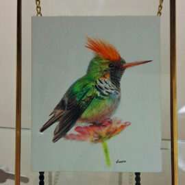 Colorful illustration of a hummingbird with vivid green and orange plumage, perched on a flower. The artwork is framed in a gold frame, highlighting the intricate details of the bird's feathers