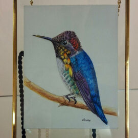 Detailed illustration of a hummingbird with bright blue and orange feathers, perched on a branch. The artwork is framed in a gold frame, capturing the bird's delicate beauty and vibrant colors