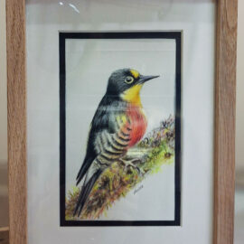 Framed painting of a small bird with black, yellow, and red plumage, perched on a mossy branch. The bird's alert posture and vibrant colors are captured in the detailed illustration.