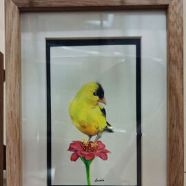 Framed painting of an American goldfinch with bright yellow and black feathers, perched on a pink flower. The artwork captures the bird's delicate features and cheerful colors.