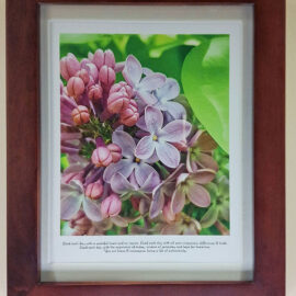 A framed photograph showing a close-up of lilac blossoms in various stages of bloom, surrounded by vibrant green leaves. The image is accompanied by a quote that reads, "Lead each day with a grateful heart and no regrets. Lead each day with all your uniqueness, difference & truth. Lead each day with the experience of today, wisdom of yesterday and hope for tomorrow. You are brave & courageous living a life of authenticity