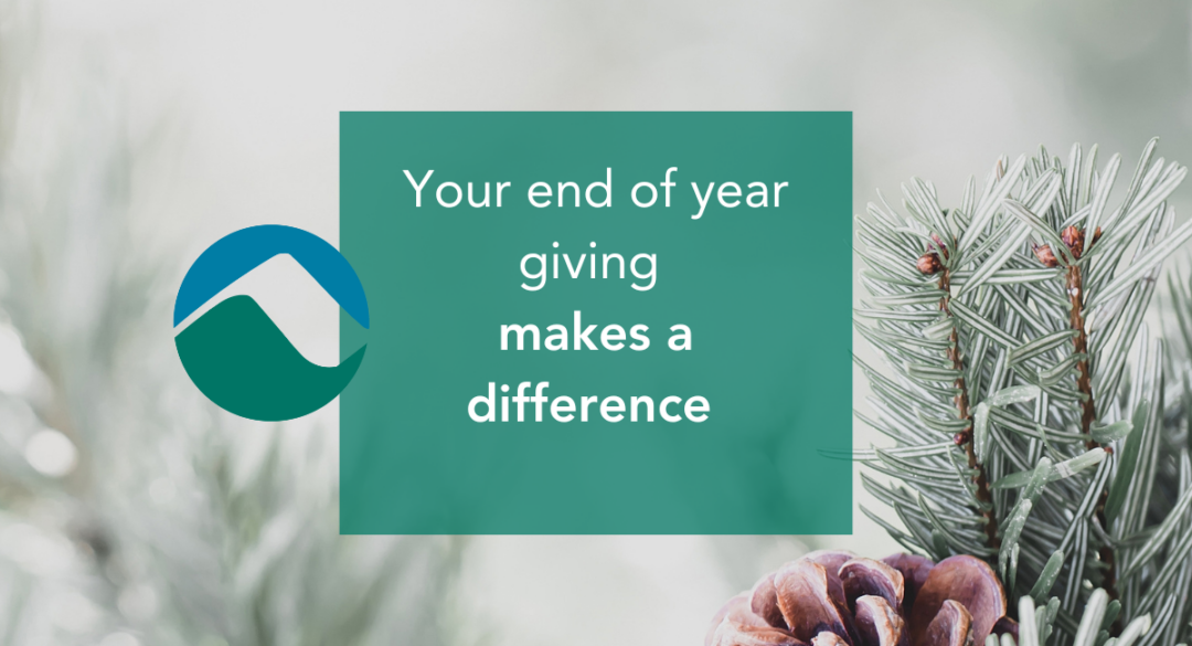 Graphic with a pine branch and cone on the right side, featuring the Monadnock Community Hospital logo on the left. The text in the center reads 'Your end of year giving makes a difference' in white letters on a teal background