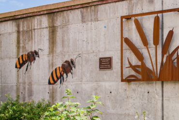 A mural painted outside the windows of the oncology suite with giant bees