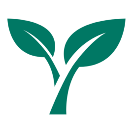 An icon of a plant sprout with two leaves, symbolizing growth, health, and development for children