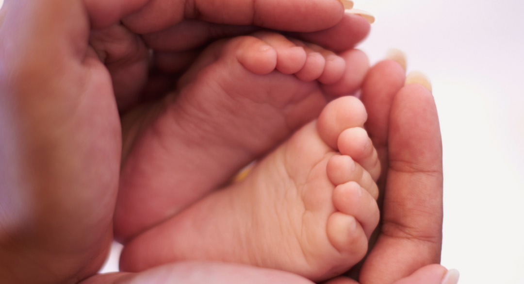 Gentle hands cradling a newborn's feet, representing the nurturing and protective services offered by the Healthy Beginnings Monadnock program