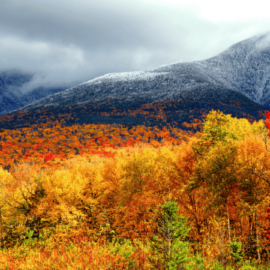Scenic view of a vibrant autumn forest with colorful foliage in shades of red, orange, and yellow, set against a mountainous backdrop with a dusting of snow on the peaks