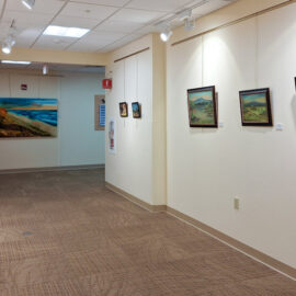 A hospital hallway displaying a series of framed landscape paintings on both walls. The paintings feature natural scenery in soothing greens and blues, adding warmth and color to the neutral-toned space.