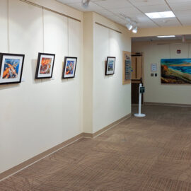 Another section of the hallway in the hospital gallery, with colorful paintings of koi fish and abstract landscapes. The lighting highlights each piece, creating an engaging and vibrant display.