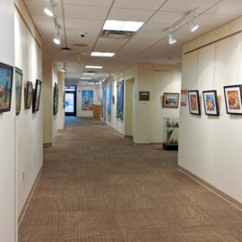 Another angle of the hallway featuring framed animal and landscape artwork on both walls. The corridor's lighting enhances the gallery's appeal, creating a cheerful and inviting space.