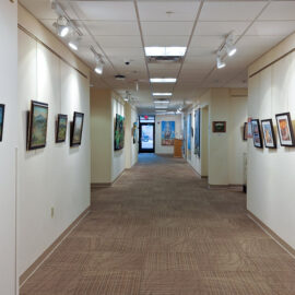 A view down the hospital hallway, lined with diverse framed artworks, including landscapes and animal-themed paintings. The neutral color scheme of the walls and carpet keeps the focus on the art.