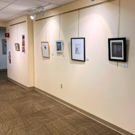 A hallway gallery display featuring framed nature and bird-themed artworks with balanced lighting and warm-toned carpet flooring.