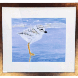 A serene image of a young plover standing in shallow water, its fluffy reflection visible beneath it, illuminated by soft morning light and a blue seashore.