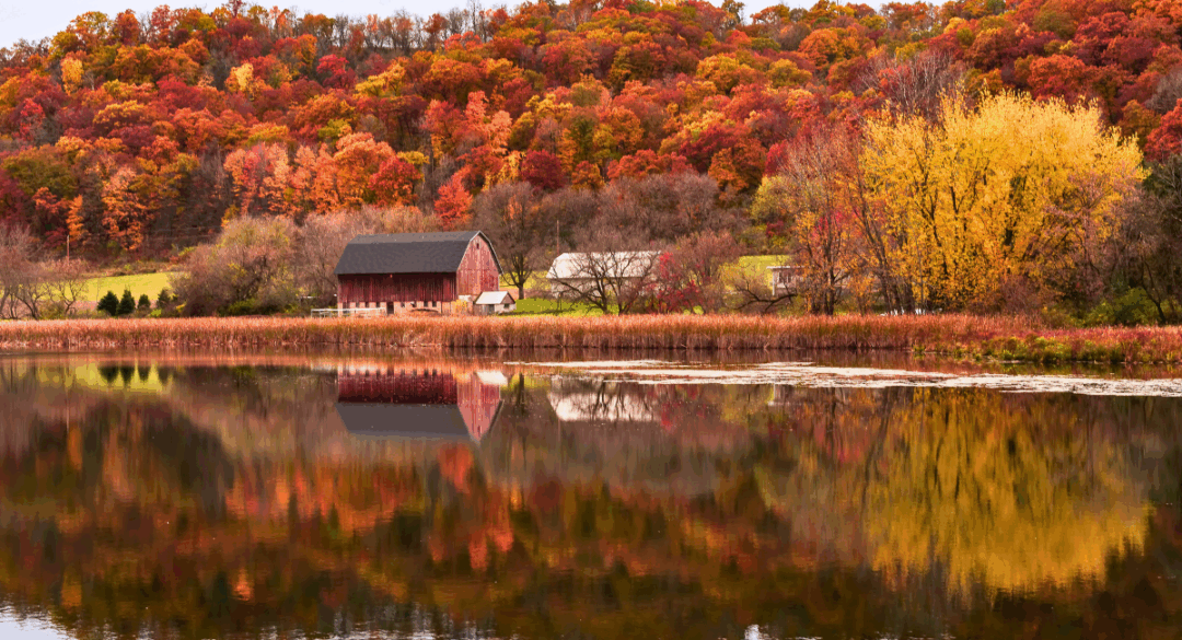 Scenic autumn landscape featuring a red barn, colorful fall foliage, and calm water reflecting the vibrant trees, representing the Monadnock region in fall.