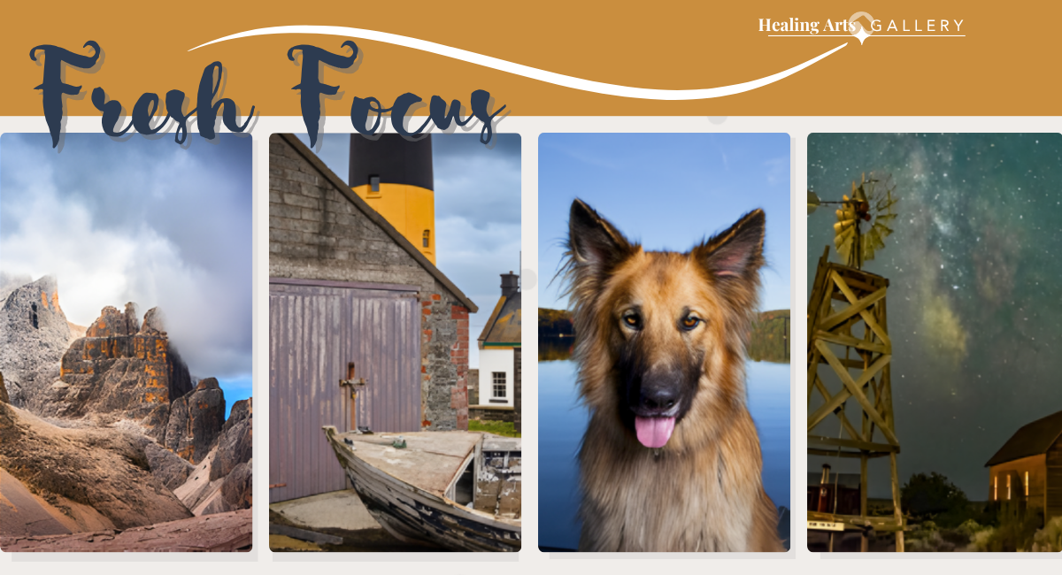 Promotional banner for Fresh Focus exhibition at the Healing Arts Gallery featuring four photographic images including a rocky mountain landscape, a boat beside a weathered building, a close-up portrait of a dog, and a windmill under a starry night sky, with the exhibition title at the top